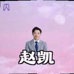 赵凯
